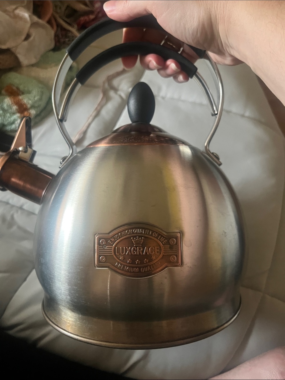 LuxGrace Stainless Steel Whistling Teakettle with Copper Accents - Silver/Copper